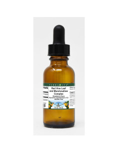 Extracto Líquido de Glicerita TerraVita 28.35 g Sabor Fresa 2