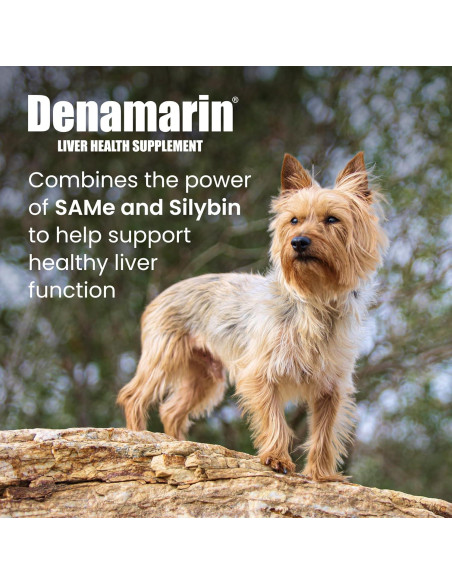 Suplemento Hepático Denamarin Nutramax para Perros y Gatos - 30 Tabletas
