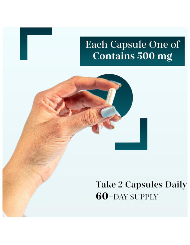 Acetil L-Carnitina 1000 mg Fido Pharma 120 Cápsulas Vegetales
