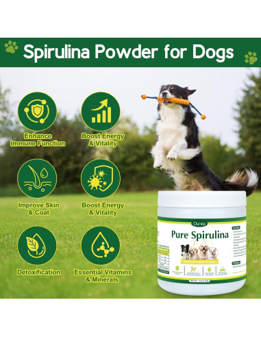 Polvo de Espirulina Orgánica para Perros Ourea 113g