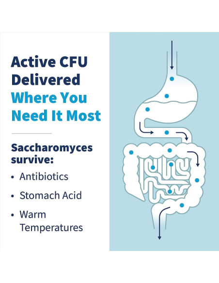 Klaire Labs Polvo Probiotico Saccharomyces Boulardii 127g