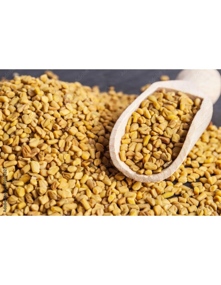 Semillas de Fenogreco Orgánicas 1kg U.S. Wellness - No OGM