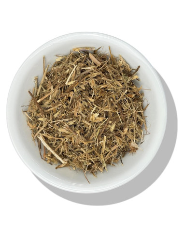 Hierba del Sapo Evergreen 227g - Eryngium Mexicano para Té