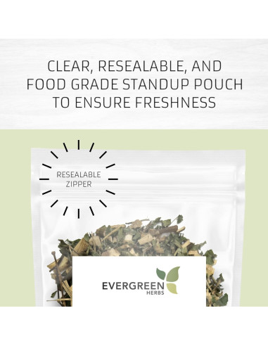 Hierba del Sapo Evergreen 227g - Eryngium Mexicano para Té