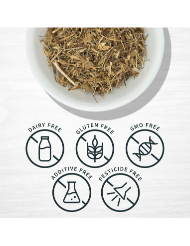 Hierba del Sapo Evergreen 227g - Eryngium Mexicano para Té