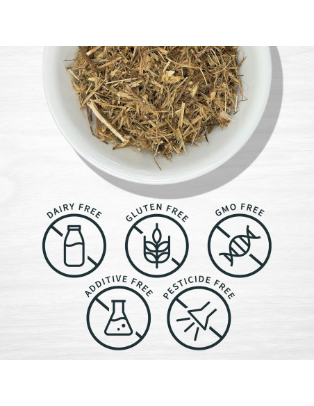 Hierba del Sapo Evergreen 227g - Eryngium Mexicano para Té