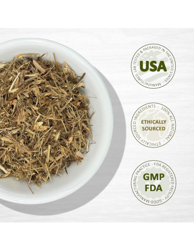 Hierba del Sapo Evergreen 227g - Eryngium Mexicano para Té