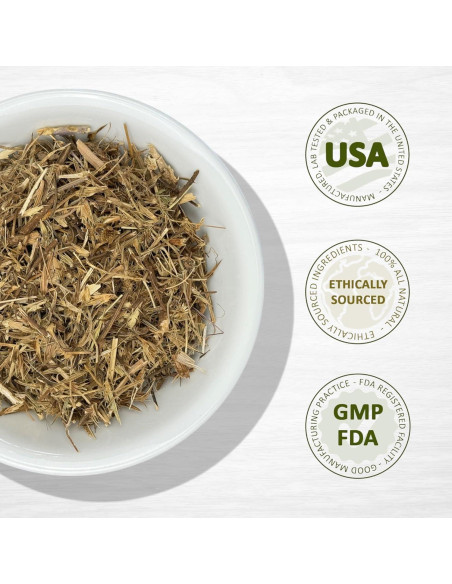 Hierba del Sapo Evergreen 227g - Eryngium Mexicano para Té