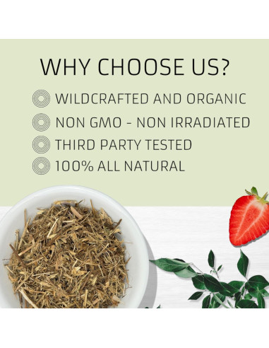 Hierba del Sapo Evergreen 227g - Eryngium Mexicano para Té