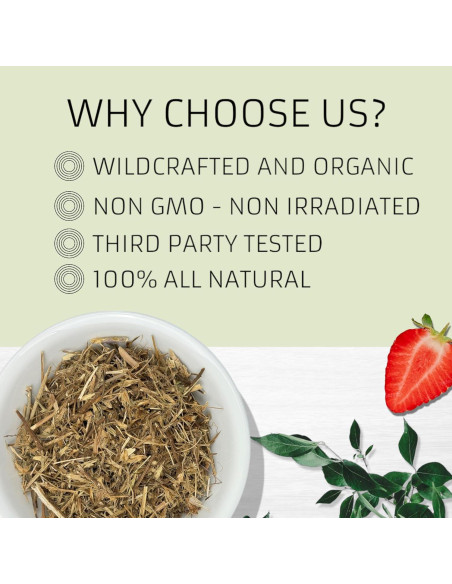 Hierba del Sapo Evergreen 227g - Eryngium Mexicano para Té