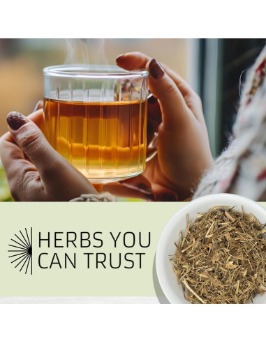 Hierba del Sapo Evergreen 227g - Eryngium Mexicano para Té