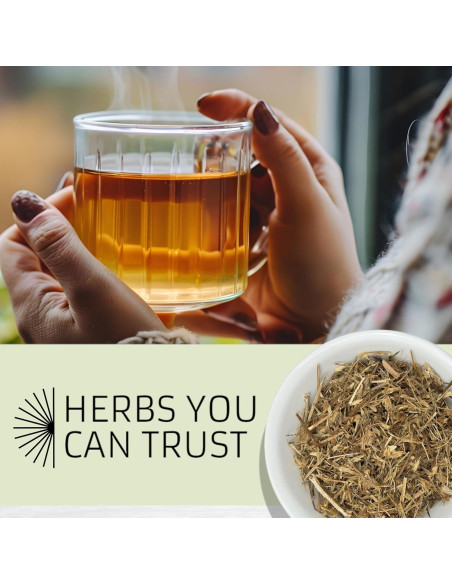 Hierba del Sapo Evergreen 227g - Eryngium Mexicano para Té