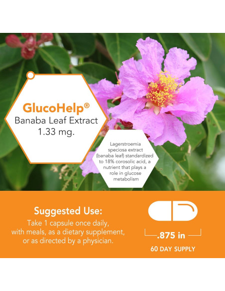 Extracto de Hoja de Banaba Botanic Choice 60 Cápsulas Vegetarianas