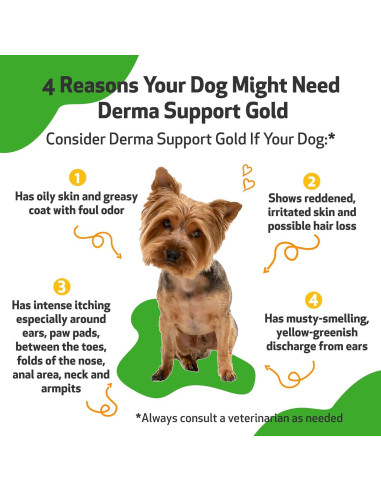 Suplemento Herbal Pet Wellbeing Derma Support Gold 59 ml