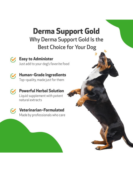 Suplemento Herbal Pet Wellbeing Derma Support Gold 59 ml