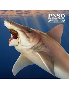 Modelo Prehistórico PNSO 43 Haylee El Helicoprion 25cm 2