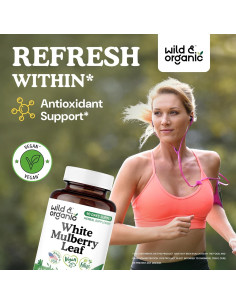 Cápsulas de Extracto de Hoja de Morera Blanca 500 mg - Wild & Organic - 90 Unidades 2