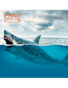 Animal Marino PNSO Patton Megalodon 32x13x16 cm 2