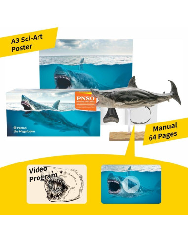 Animal Marino PNSO Patton Megalodon 32x13x16 cm