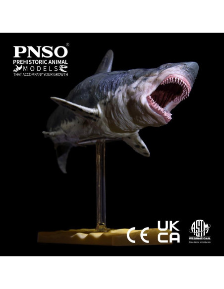 Animal Marino PNSO Patton Megalodon 32x13x16 cm