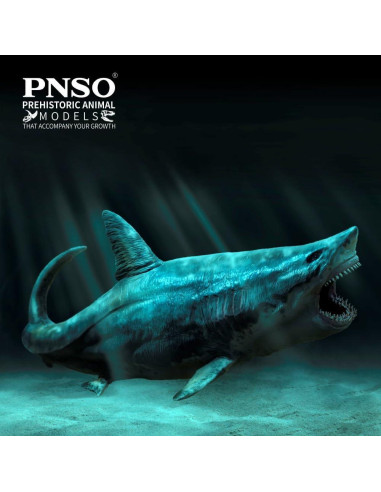 Animal Marino PNSO Patton Megalodon 32x13x16 cm
