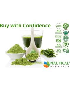 Polvo de pasto de trigo orgánico Sonoran Nutra 198g 2