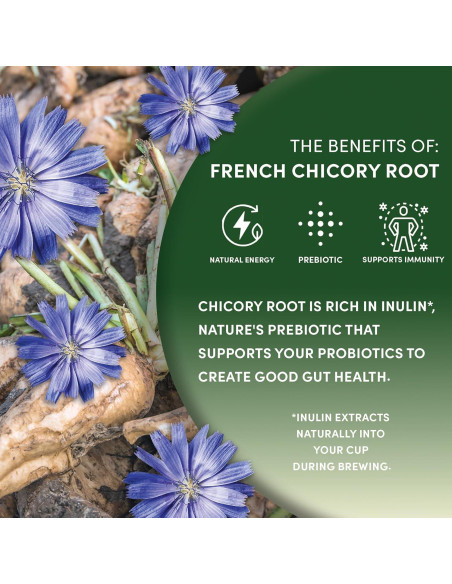 Raíz de Achicoria Francesa Worldwide Botanicals 0.45kg - Sin Cafeína