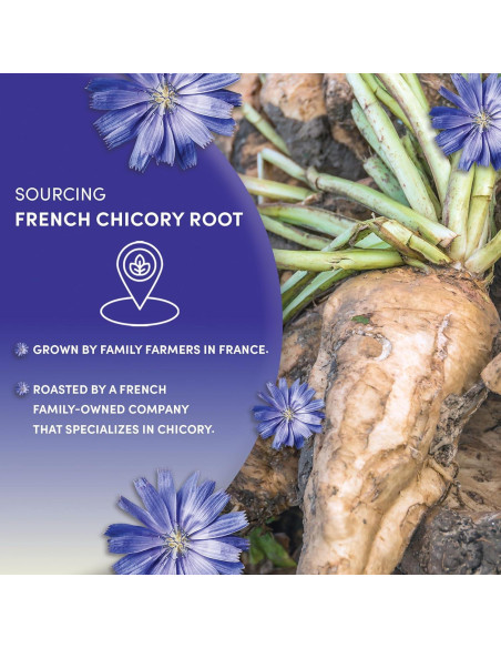 Raíz de Achicoria Francesa Worldwide Botanicals 0.45kg - Sin Cafeína