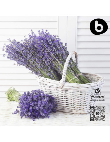 Cápsulas de Lavanda Orgánica Bobica - 90 Veganas para Relajación