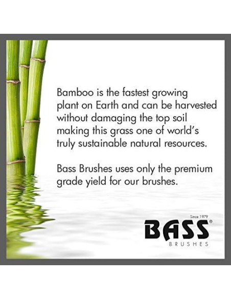 Cepillo de Baño y Cuerpo Bass 80D - Cerdas Naturales de Bambú