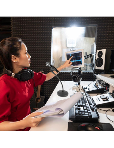 Soporte de Micrófono de Cuello de Ganso con Brazo Flexible 30.48 cm - Ideal para Podcasting y Streaming