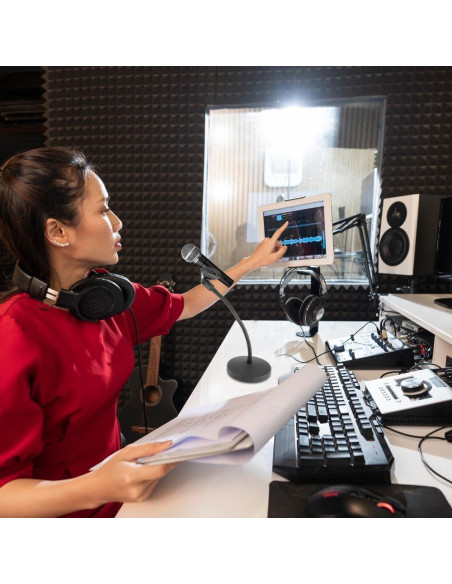 Soporte de Micrófono de Cuello de Ganso con Brazo Flexible 30.48 cm - Ideal para Podcasting y Streaming