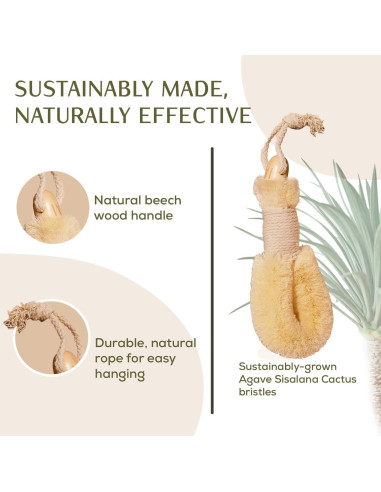 Cepillo Corporal Seco CSM de Agave - Exfoliación y Drenaje Linfático