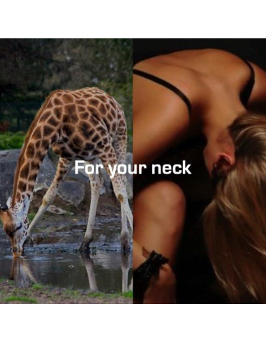 Parche de Terapia Magnética Acumed - 8 Piezas, Hipoalergénico