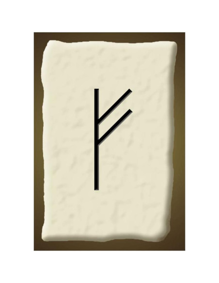 Cartas de Aprendizaje de Runas Futhark Living Magick 24 Tarjetas