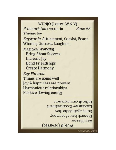 Cartas de Aprendizaje de Runas Futhark Living Magick 24 Tarjetas