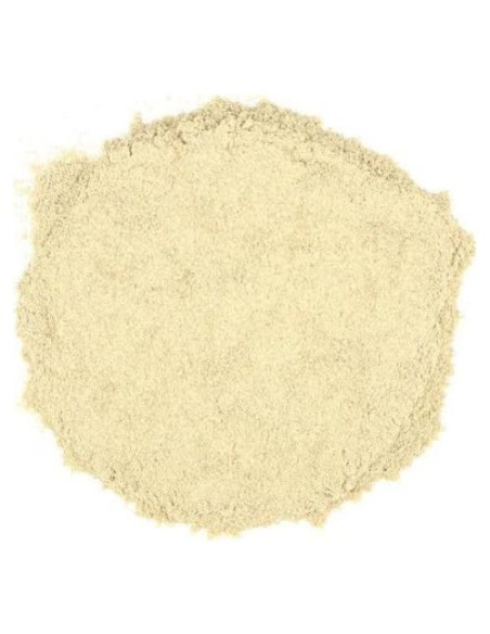 Polvo de Acedera Orgánico Florida Herb House 28 g