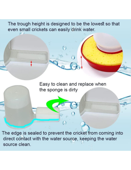 Alimentador automático para grillos H-Enoch con botella y esponjas