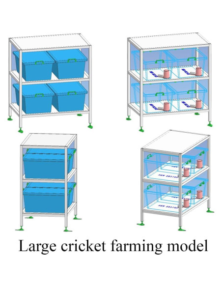 Alimentador automático para grillos H-Enoch con botella y esponjas
