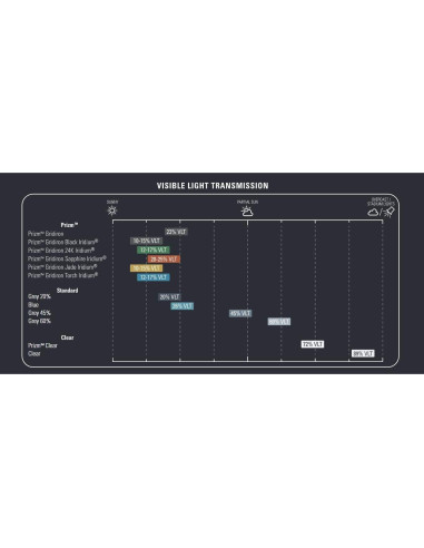 Escudo de Fútbol Oakley Legacy Unisex Talla Única Prizm 24K