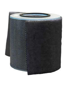 Filtro de Reemplazo Austin Air Healthmate FR400A, Negro