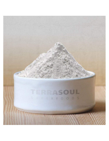 Harina de Arrurruz Orgánica Terrasoul 453.6 g - Sin Gluten