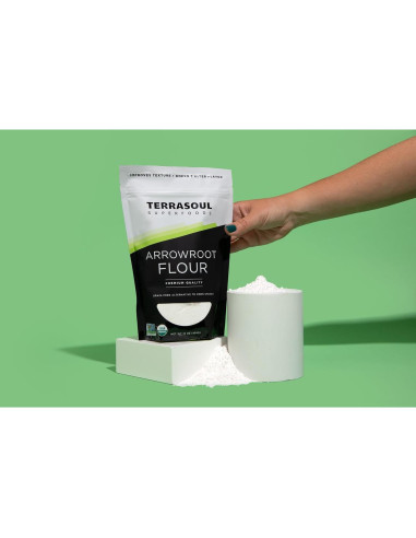 Harina de Arrurruz Orgánica Terrasoul 453.6 g - Sin Gluten