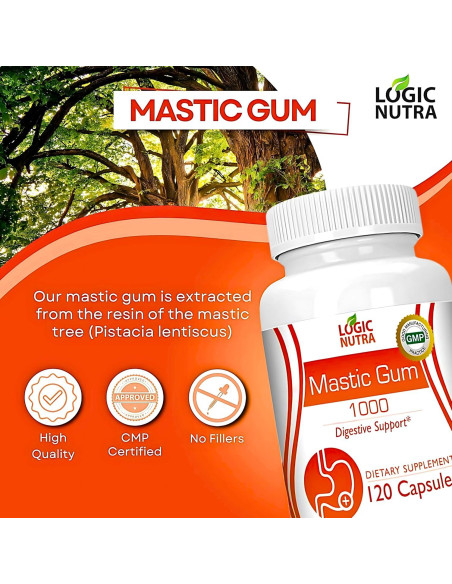 Cápsulas de Goma Mástica Logic Nutra 1000mg - 120 Unidades