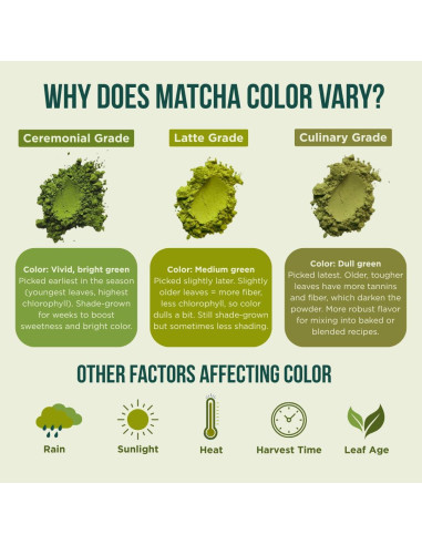 Matcha Orgánico Premium Jade Leaf 150g - Grado Ceremonial