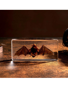 Murciélago de Taxidermia Chibiubiu en Resina 14x6.4 cm 2