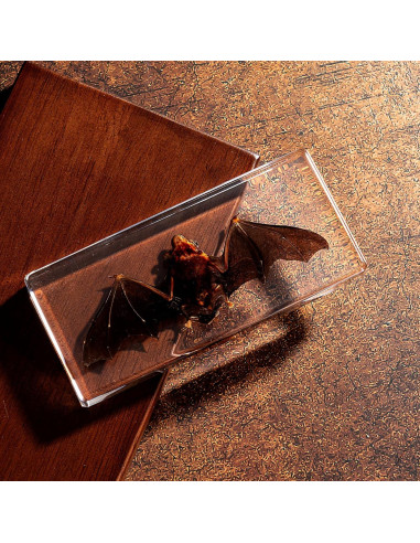 Murciélago de Taxidermia Chibiubiu en Resina 14x6.4 cm