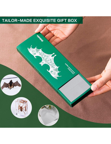 Murciélago de Taxidermia Chibiubiu en Resina 14x6.4 cm