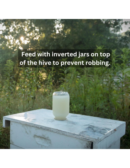 Amino-B Booster 473 ml - Proteína Líquida para Abejas