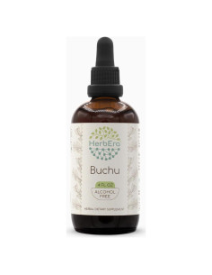 Extracto Herbal Buchu B120 Sin Alcohol HerbEra 118 ml